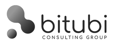 bitubi Consulting Group
